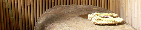 Shotoku-an image